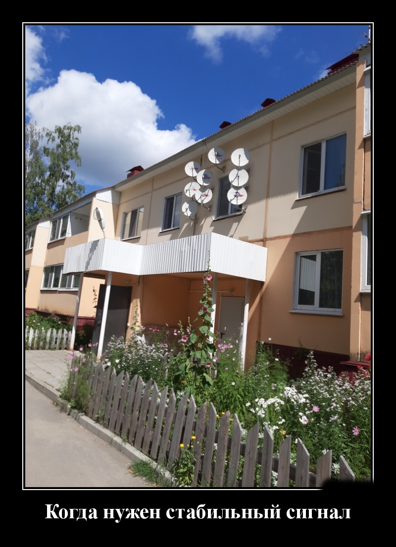 Podborka luchshikh demotivatorov 511 041